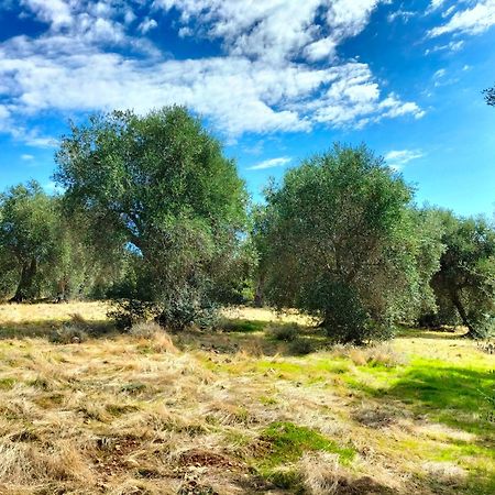 Agriturismo Lillastro Braccagni Екстериор снимка