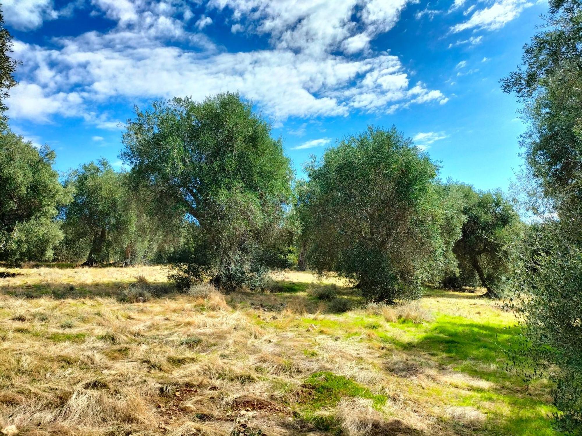 Agriturismo Lillastro Braccagni Екстериор снимка