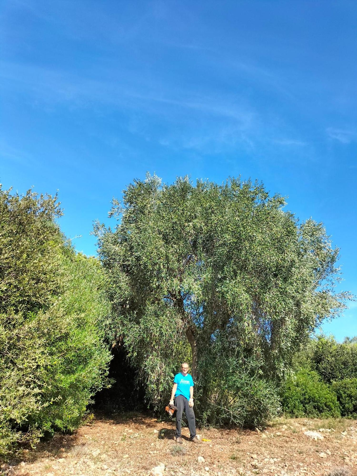 Agriturismo Lillastro Braccagni Екстериор снимка