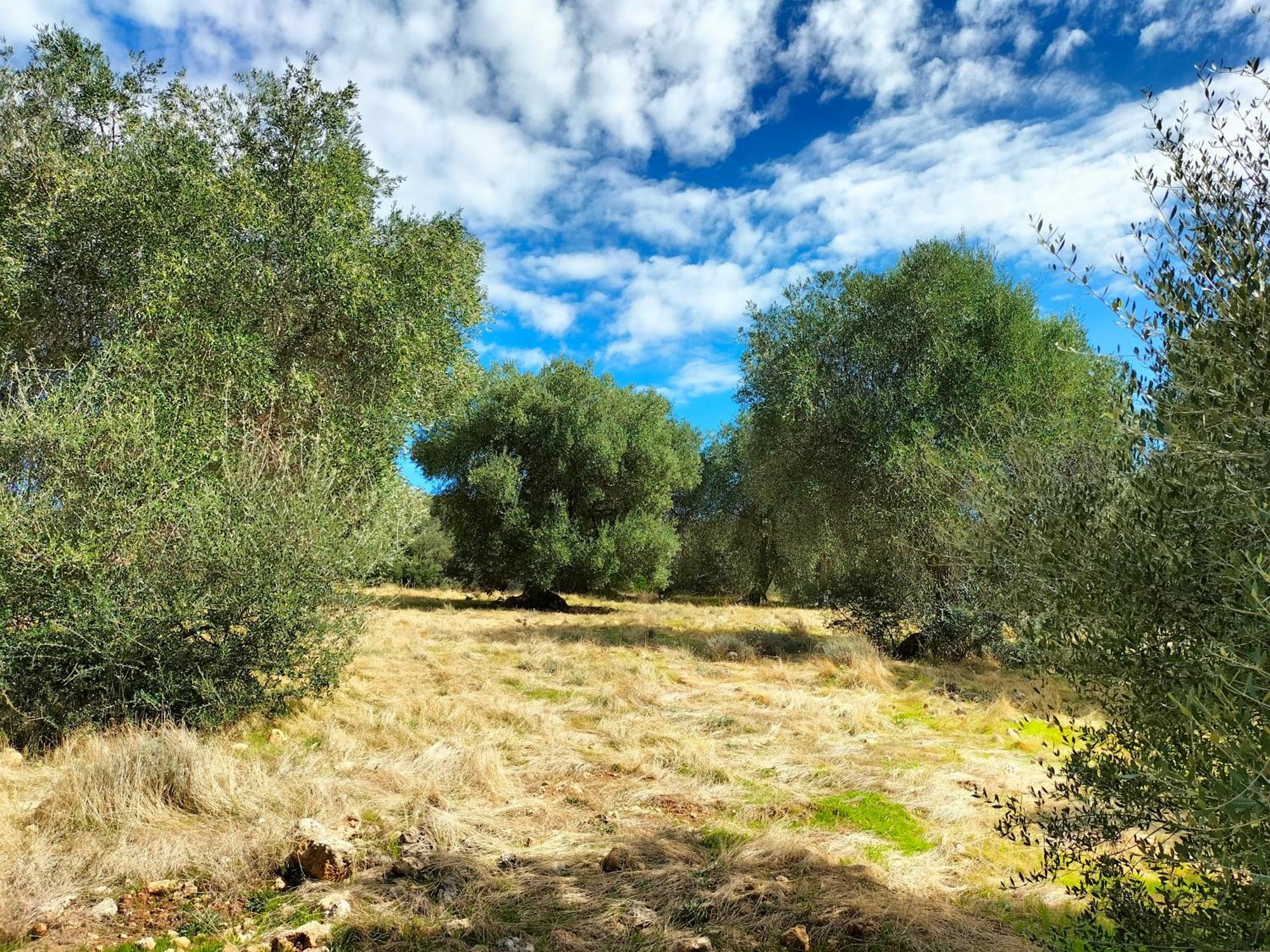Agriturismo Lillastro Braccagni Екстериор снимка