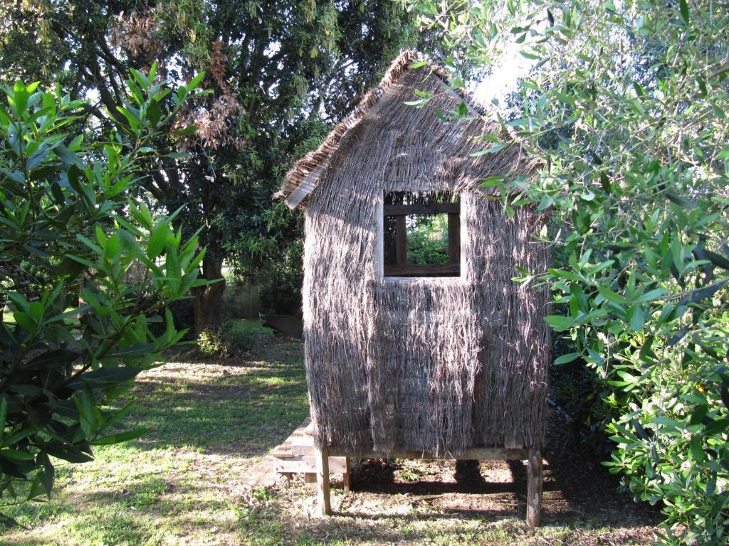 Agriturismo Lillastro Braccagni Екстериор снимка